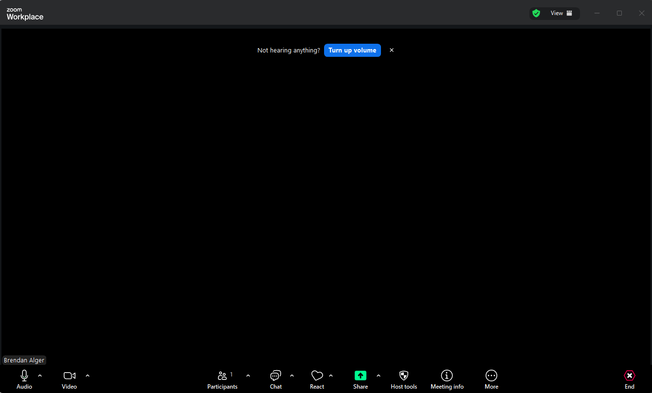 Active Zoom meeting screen showing the meeting toolbar at the bottom of the window